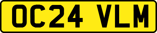 OC24VLM