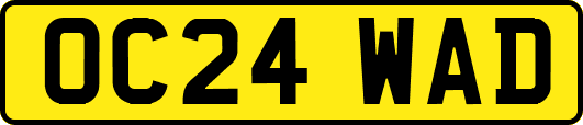 OC24WAD
