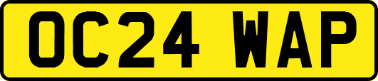 OC24WAP