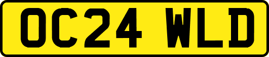 OC24WLD