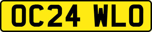 OC24WLO