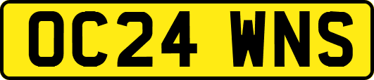 OC24WNS