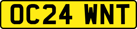 OC24WNT
