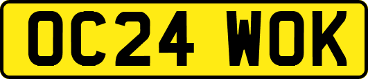 OC24WOK