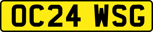 OC24WSG