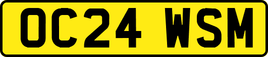OC24WSM
