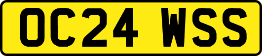 OC24WSS