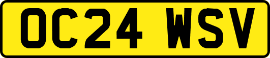 OC24WSV