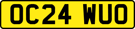 OC24WUO