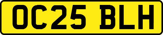 OC25BLH
