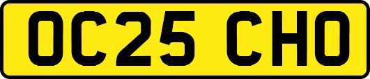 OC25CHO