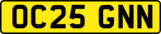 OC25GNN