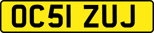 OC51ZUJ