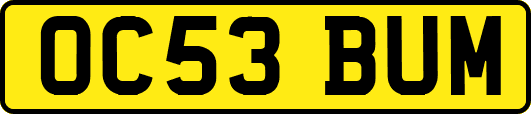 OC53BUM