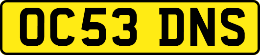 OC53DNS