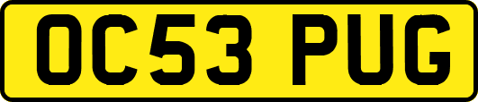 OC53PUG