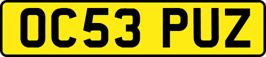 OC53PUZ