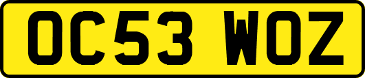 OC53WOZ