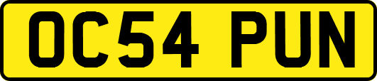 OC54PUN