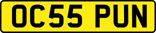 OC55PUN