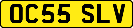 OC55SLV