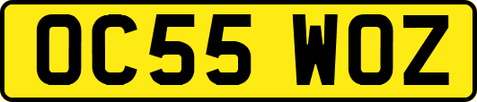 OC55WOZ