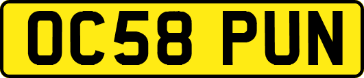 OC58PUN