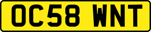 OC58WNT