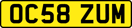 OC58ZUM