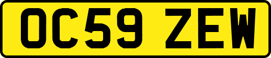 OC59ZEW