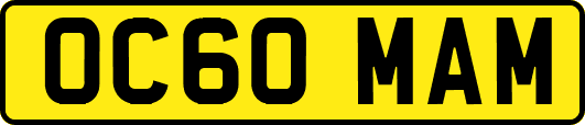 OC60MAM