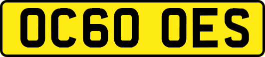 OC60OES