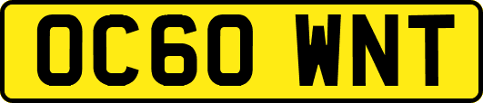 OC60WNT