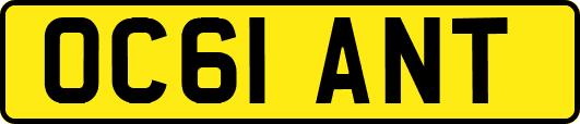 OC61ANT