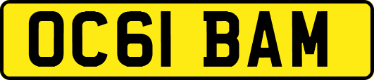 OC61BAM