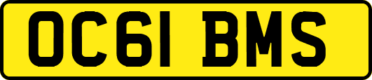 OC61BMS