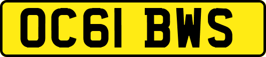OC61BWS