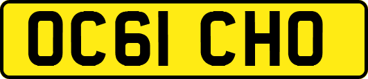 OC61CHO