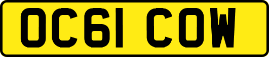 OC61COW