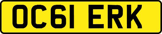 OC61ERK