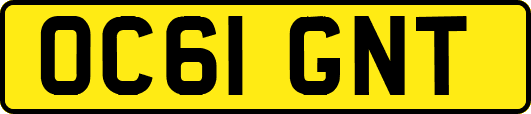 OC61GNT