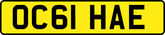 OC61HAE