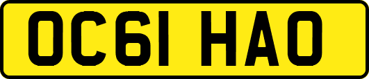 OC61HAO