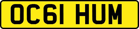 OC61HUM