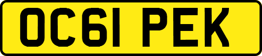 OC61PEK