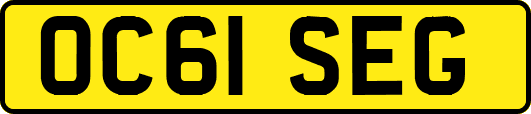 OC61SEG
