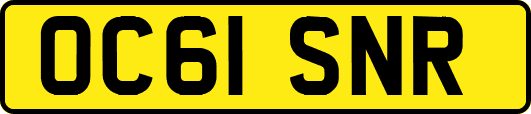 OC61SNR