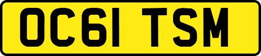 OC61TSM