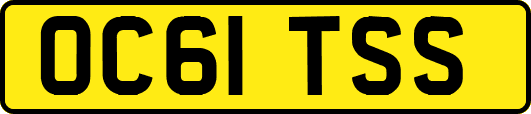 OC61TSS