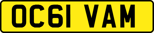 OC61VAM